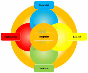Figure 1: Team Roles within Integral Project Management