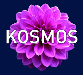 kosmos_logo_small