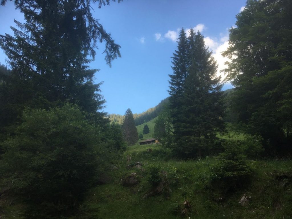 2018 06 18 Switzerland Beatenberg Education Retreat Panorama 4